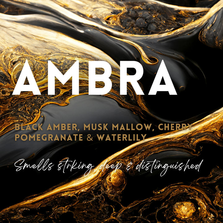 Ambra Wax Melt Clamshell