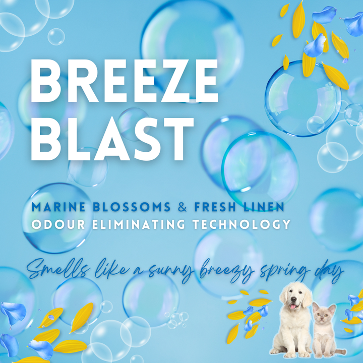 Breeze Blast Wax Melt Sample