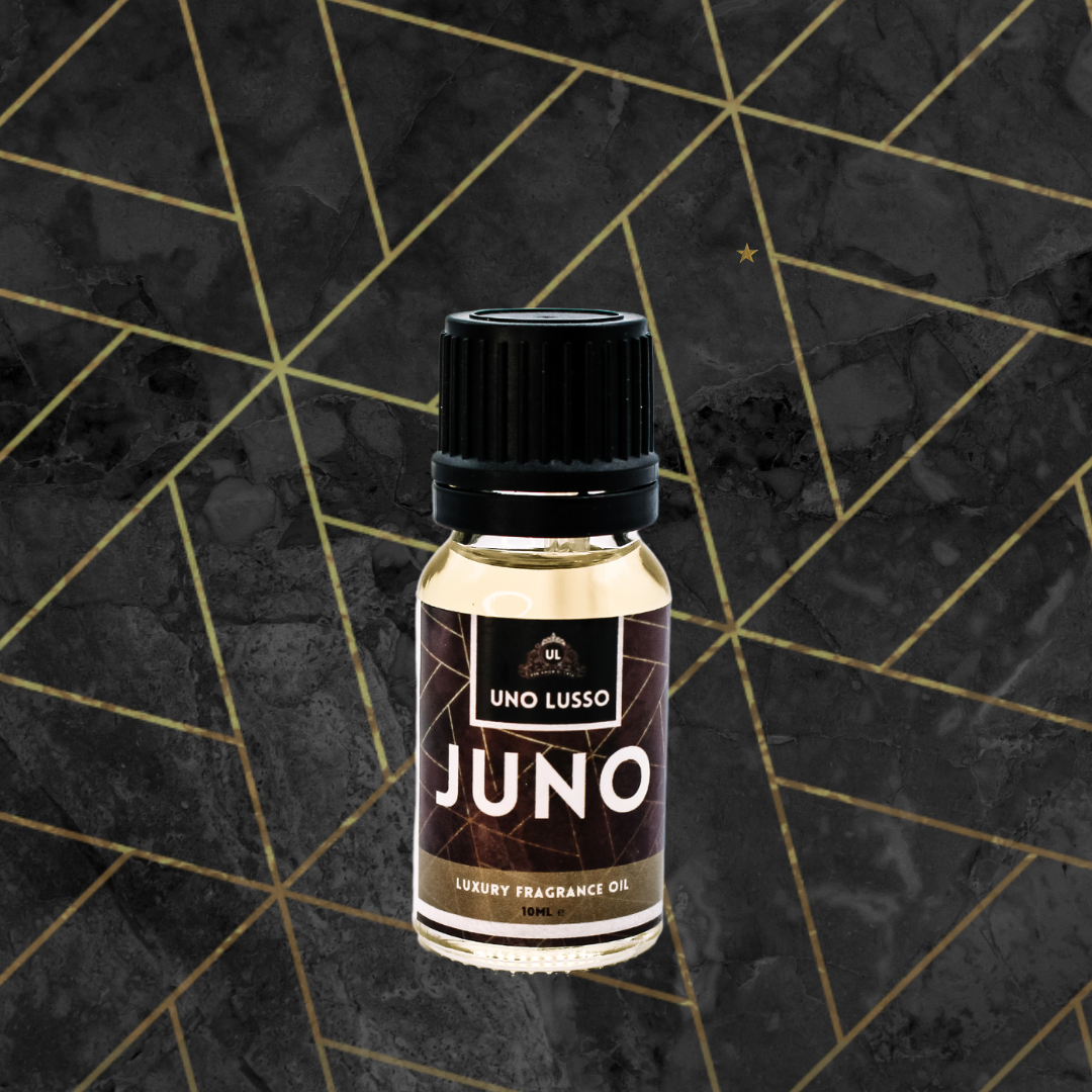 Juno Bundle Box
