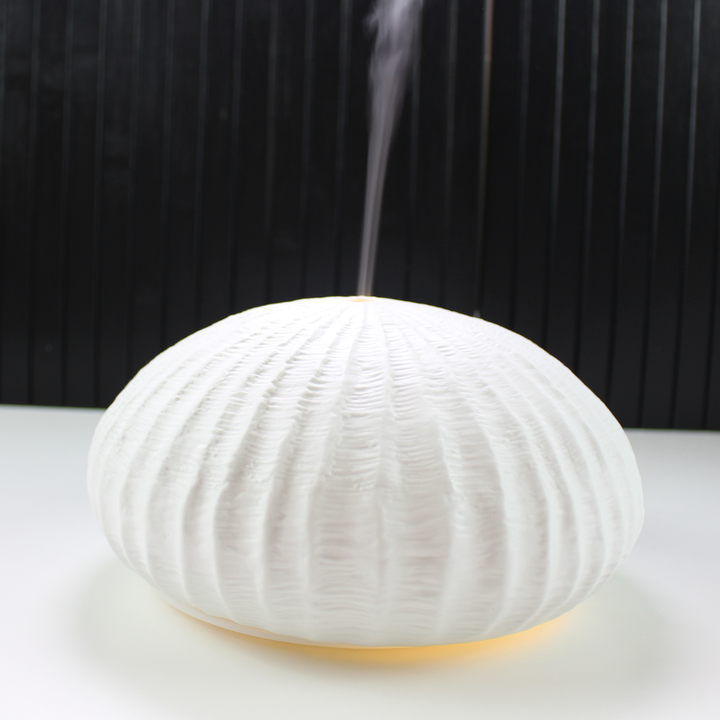 Coral Shell Mist Diffuser