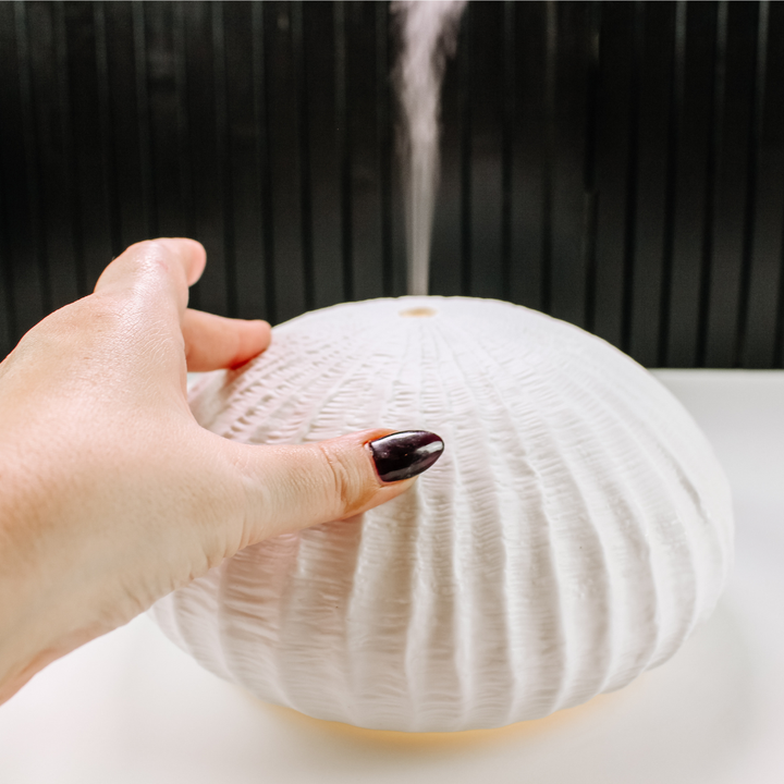Touch Control shell Mist Diffuser