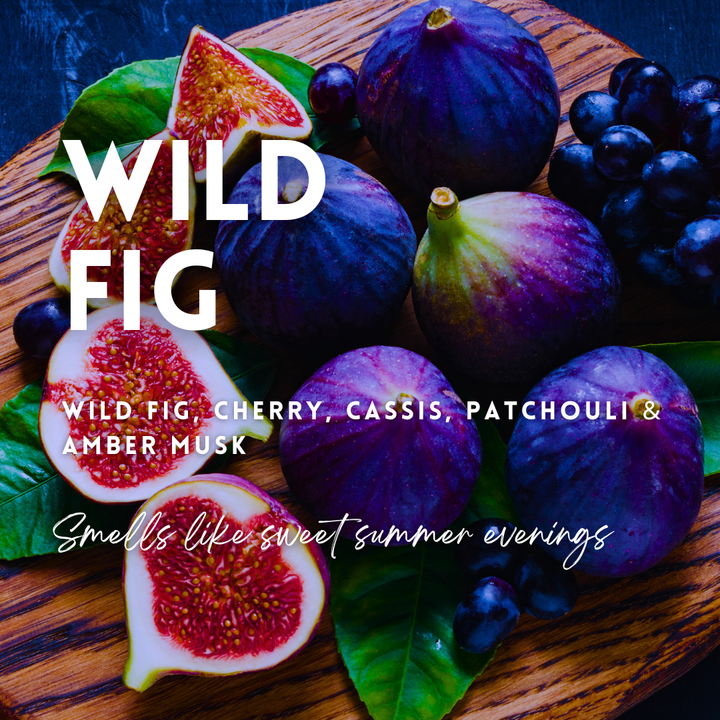 Wild Fig Wax Melt Clamshell
