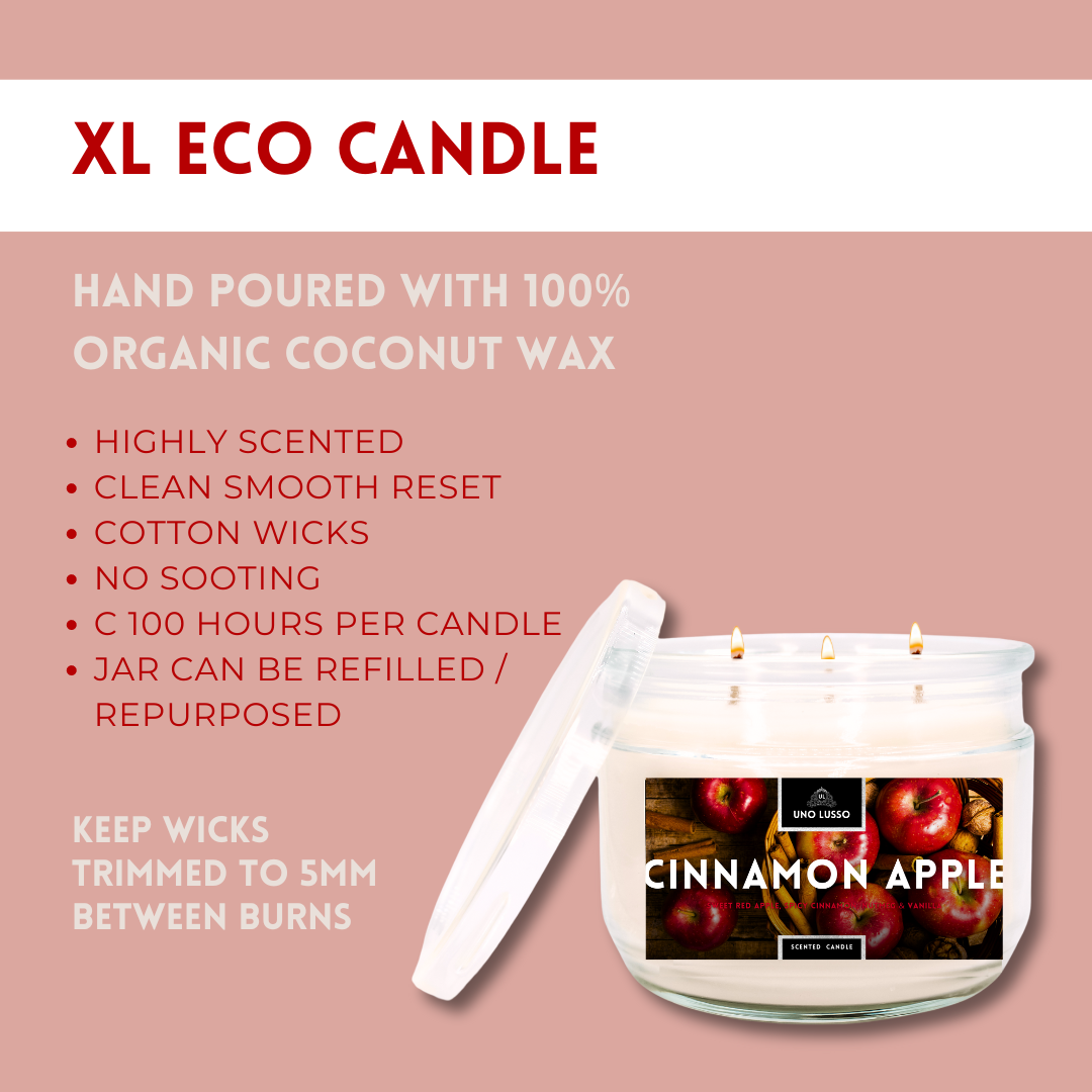 Cinnamon Apple Eco Candle