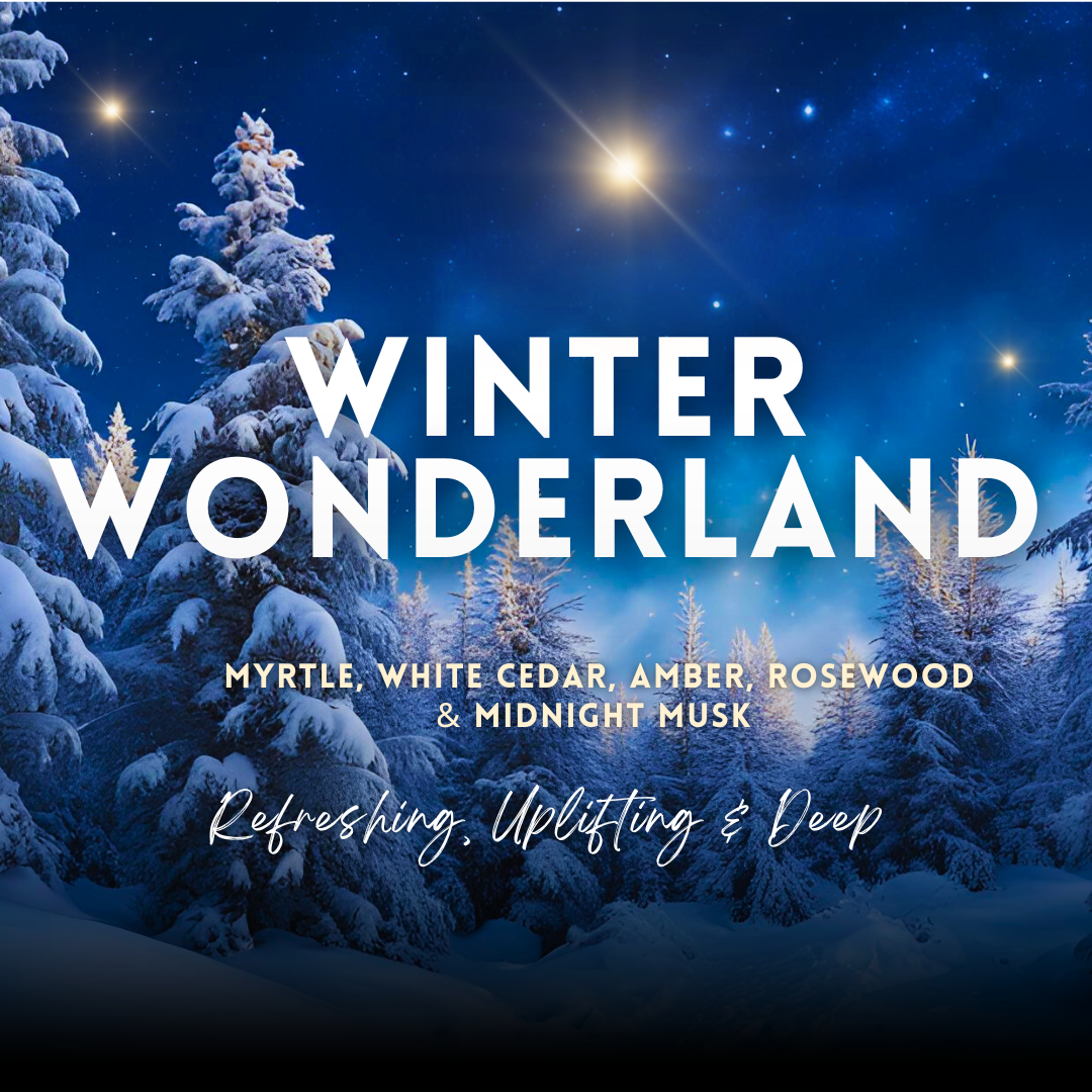 Winter Wonderland Home Fragrance Bundle